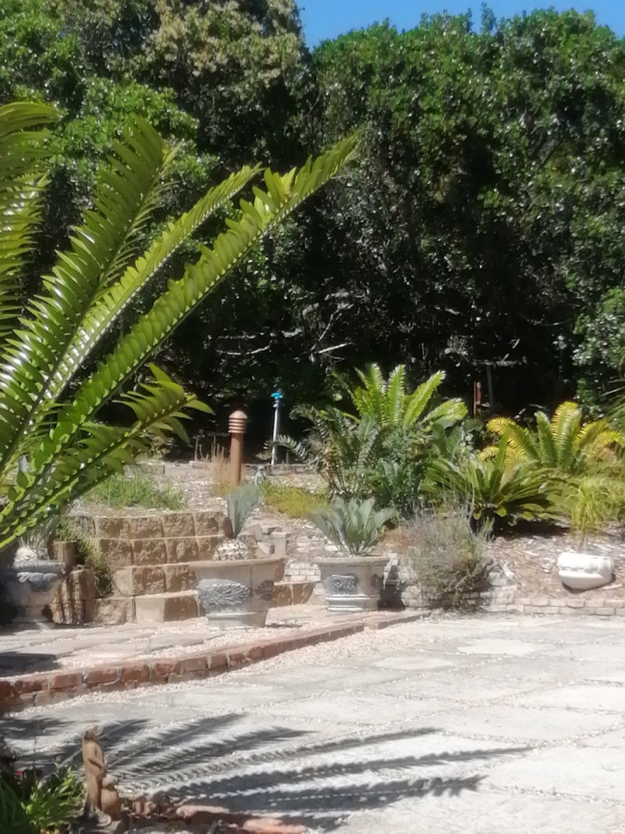 To Let 4 Bedroom Property for Rent in Cola Beach Western Cape